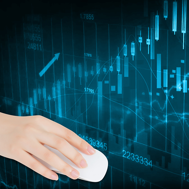 私募報告、金融數(shù)據(jù)處理項目